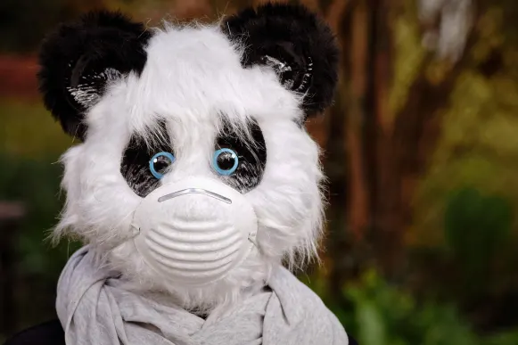 Pronto Kazino Atbalsts